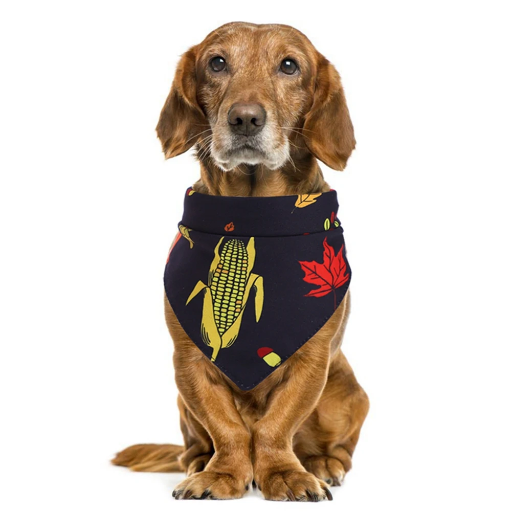 

Pet Products