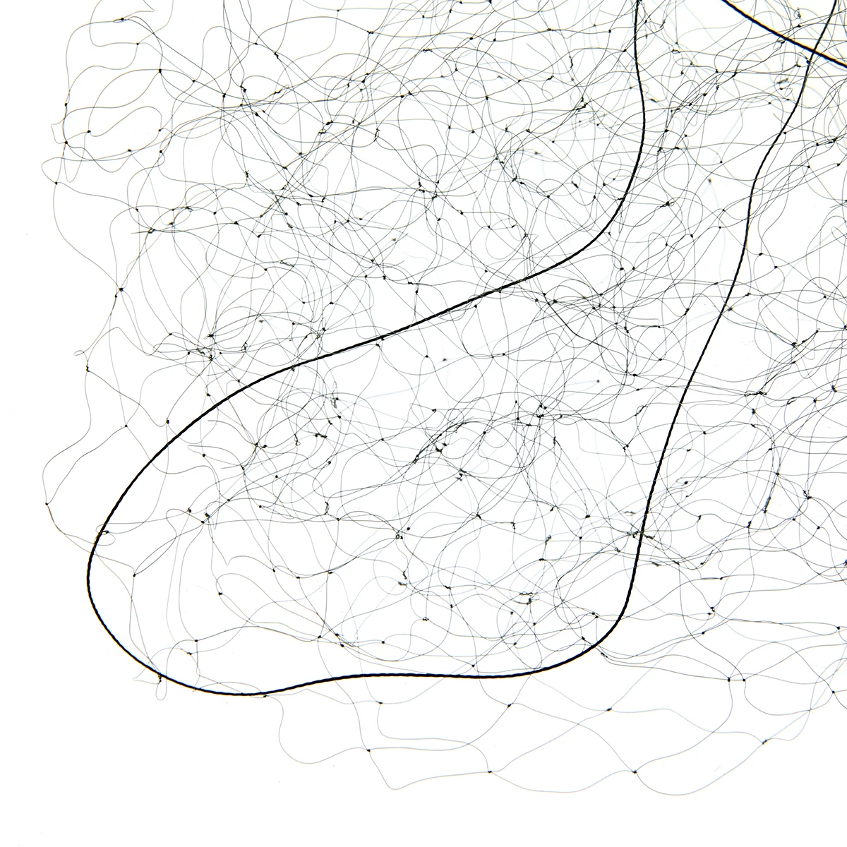 Mayitr черная птица предотвращающие анти сеть для птиц с ячейкой укороченный фрукты