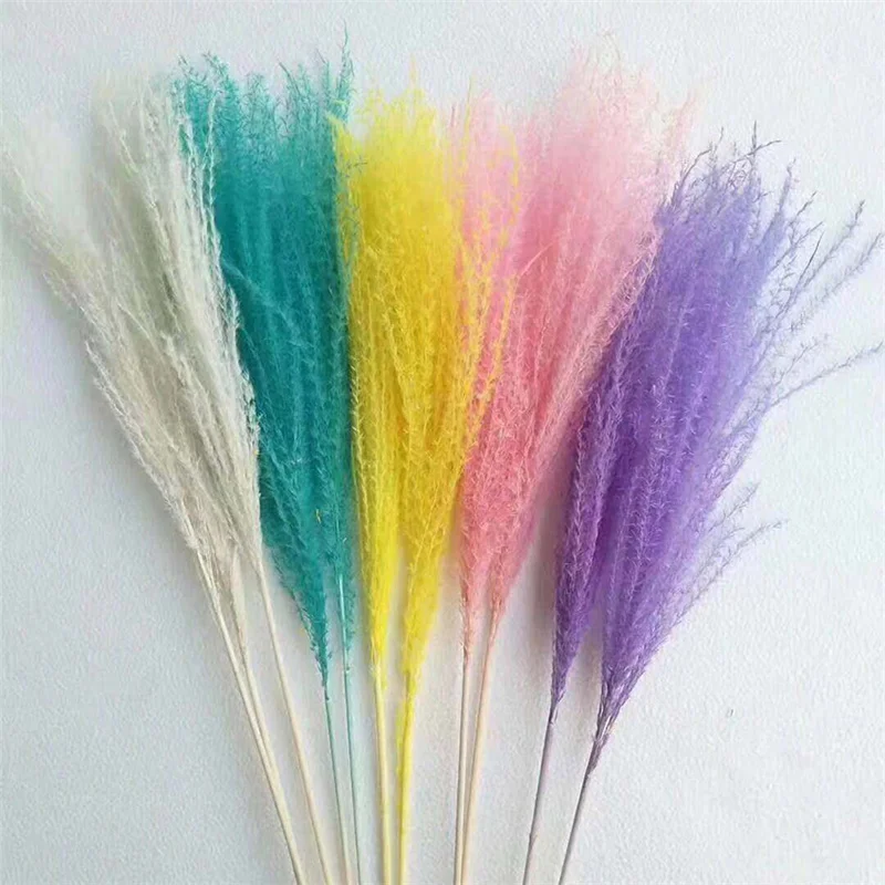 

DIY Decor Photography Prop Natural Horsetail Whisk Pampas Grass Bouquet Nordic Home Dried Flower Wedding Decorative Phragmites