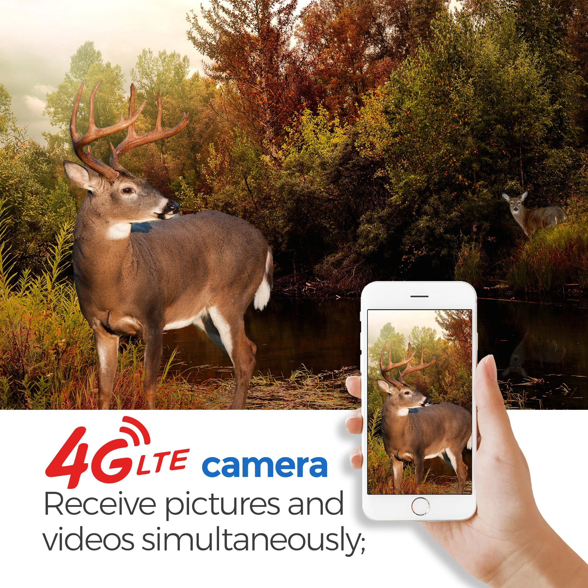 Фото BG710-M 940nm Black IR Night Vision 4G Wireless Hunting Trail Camera Color LCD Invisible Game Cameras Motion Sharp Technology №3