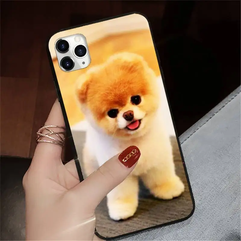 

Pomeranian dogs cute dog high quality Phone Case coque shell for iPhone 11 12 pro XS MAX 8 7 6 6S Plus X 5S SE 2020 XR
