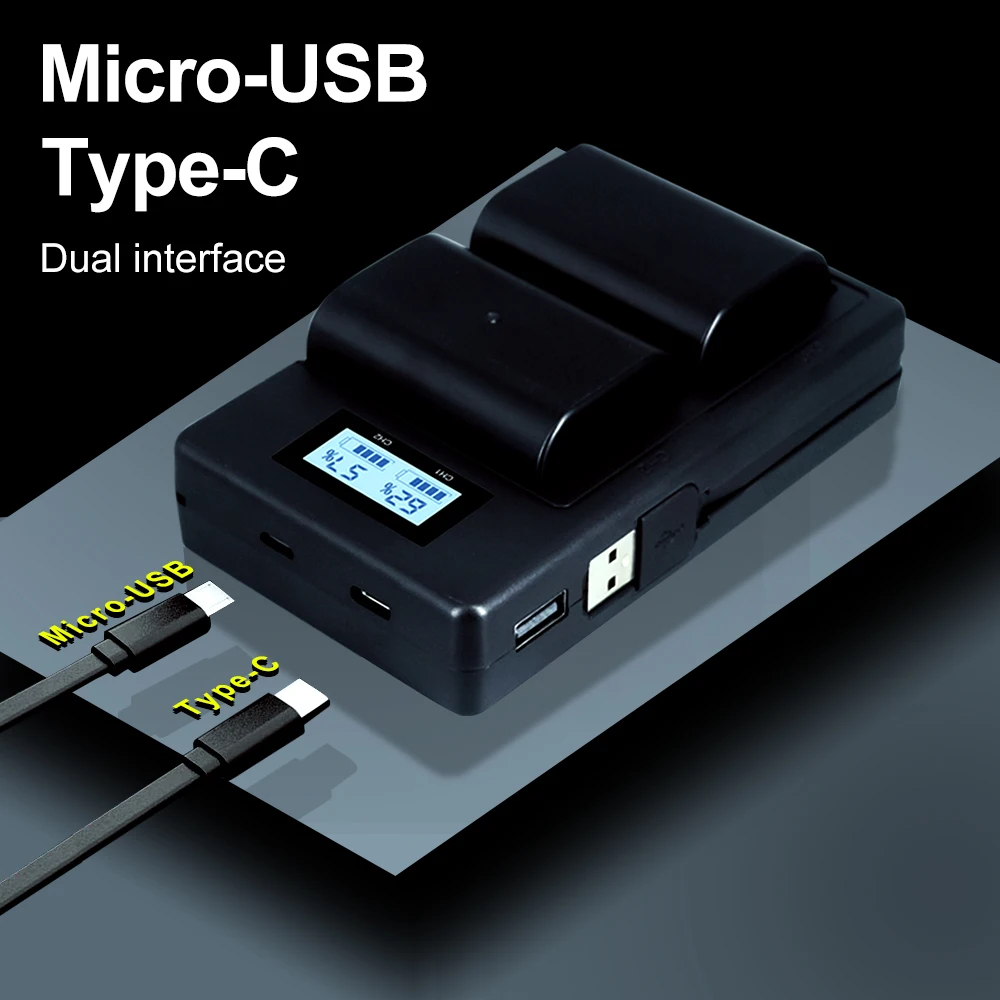 PALO 2200mAh DMW-BLF19E DMW-BLF19 камера батарея DMW BLF19 BLF19E + LCD двойное USB зарядное устройство для
