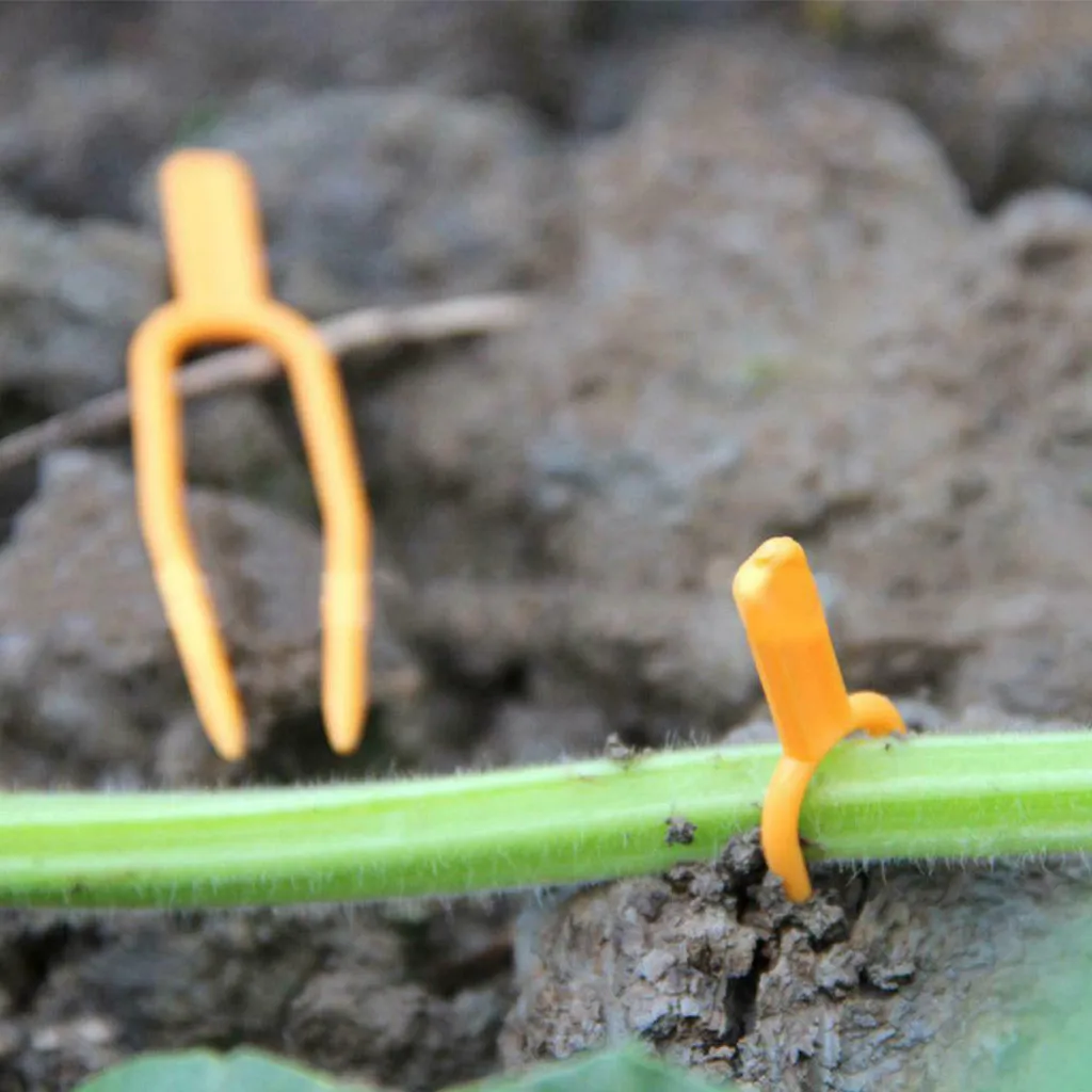 Скрепки для растений вилки томатные вегетарианские садовые растения скрепки