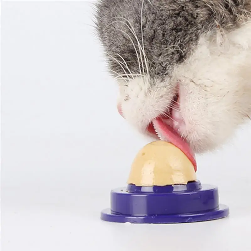 Здоровые кошки кошачьи сахарные закуски лизание конфеты питание энергетический