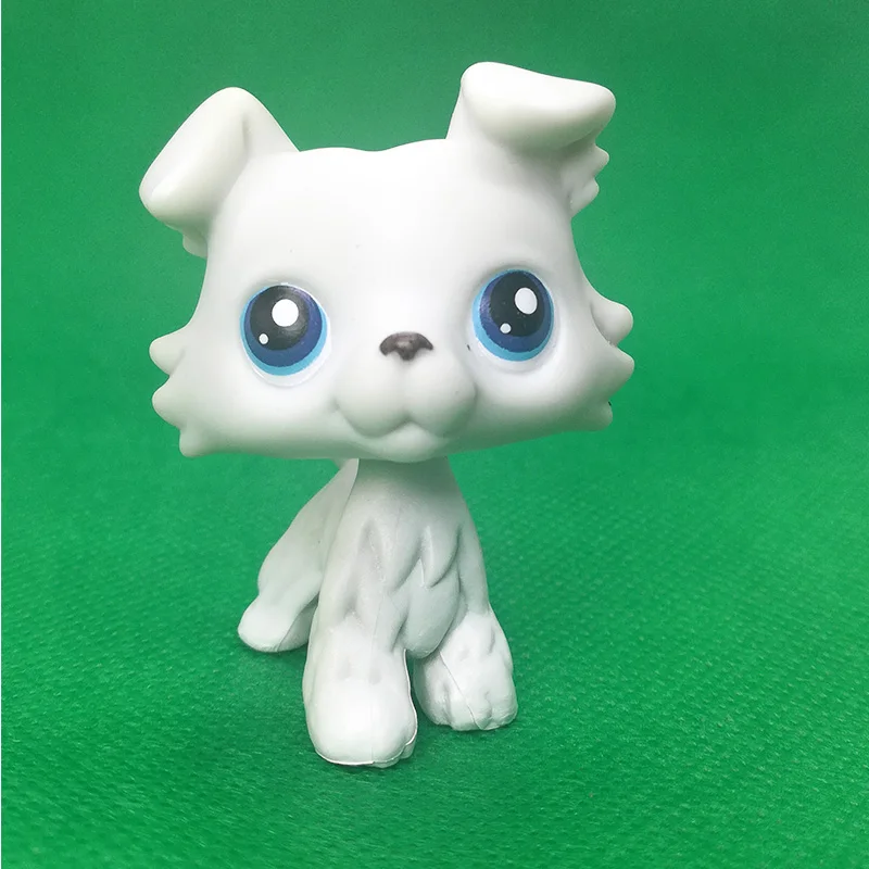 Стоячие игрушки для домашних животных кошка с короткой шерстью колли Такса