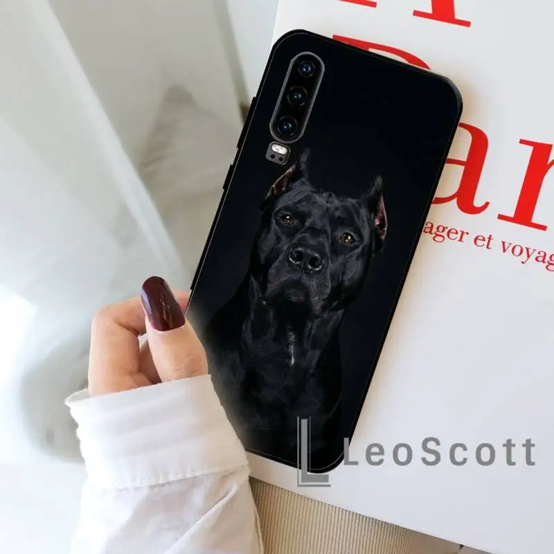 

Pit bull dog animal Phone Case For Huawei P 9 8 10 40 Mate 30 Honor 8 8A 20 20s 9x nova 6se 5t Y9s PSMART lite pro 2017