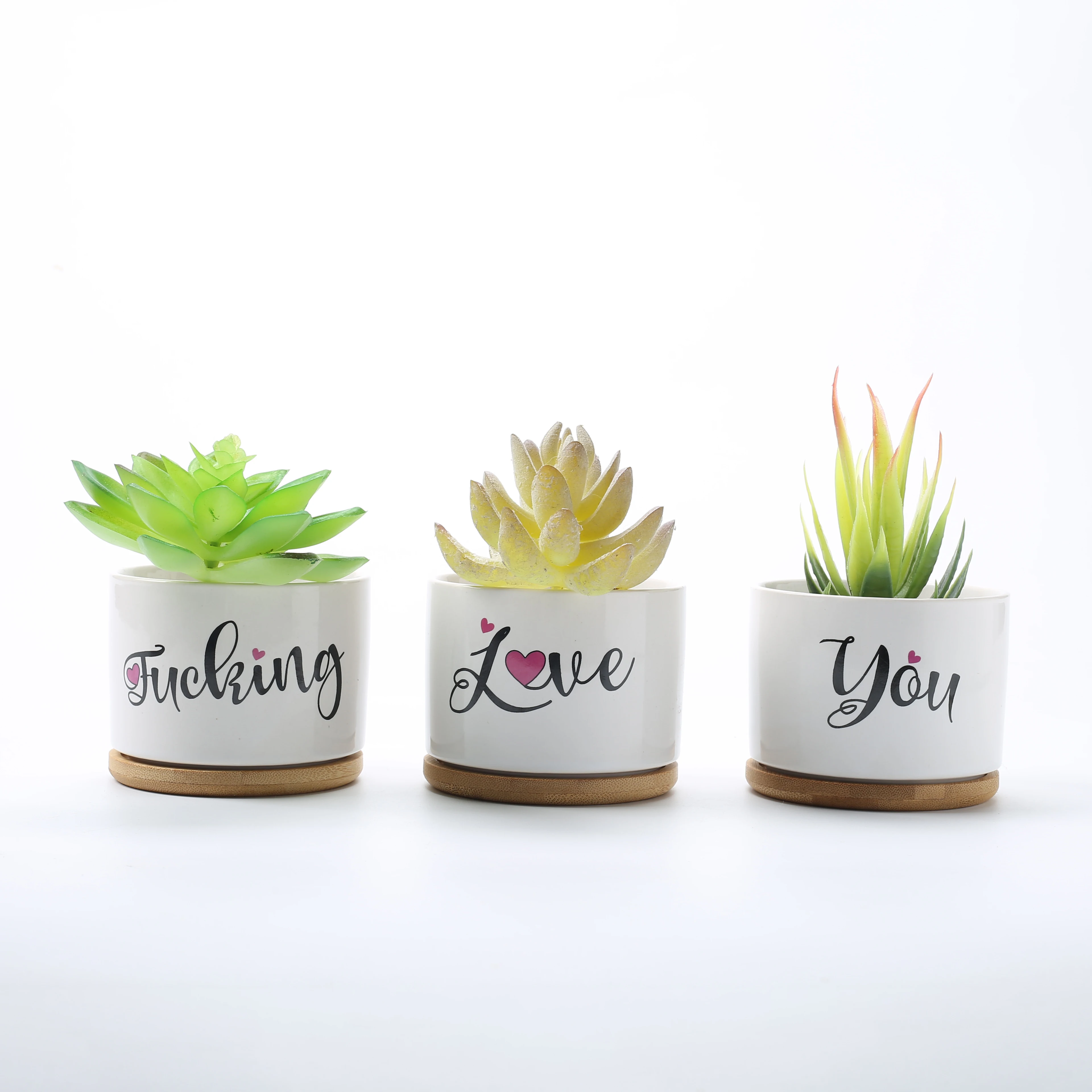 

Succulent plant ceramic Decorative flower pot Ceramic creative flowerpot holiday gift Cachepot for flowers