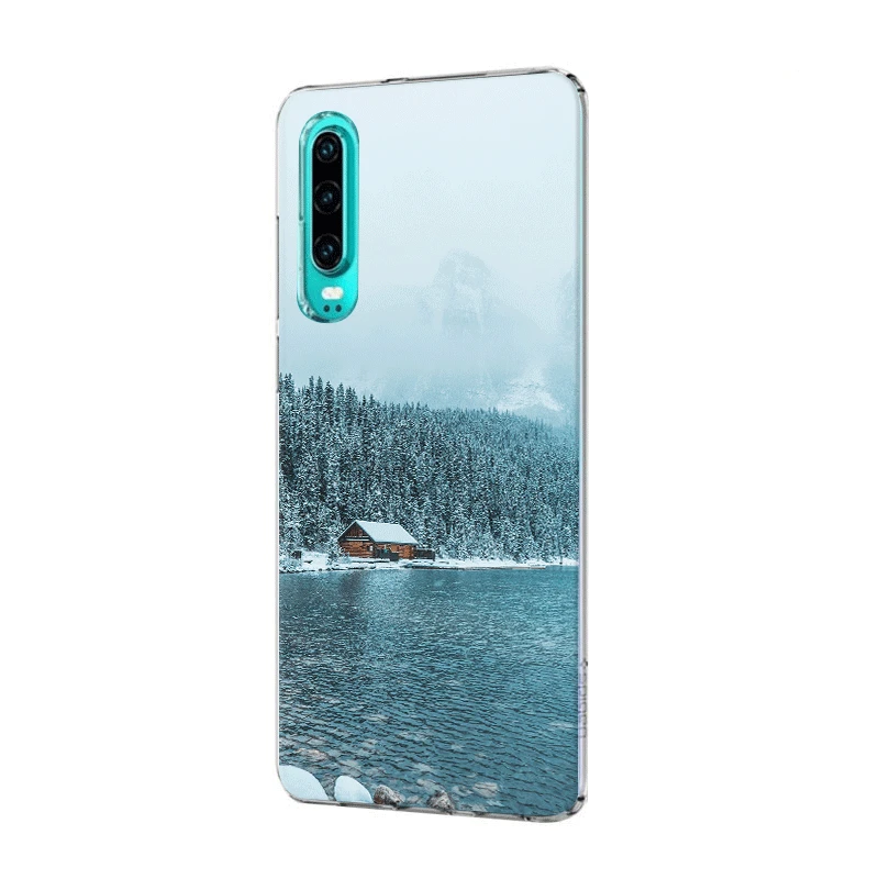 Мобильный чехол для телефона huawei Nova 2i 3 3i 4 5i на возраст 2 Y5 Y6 Y7 Y9 Prime Коврики 10 20 Pro Lite