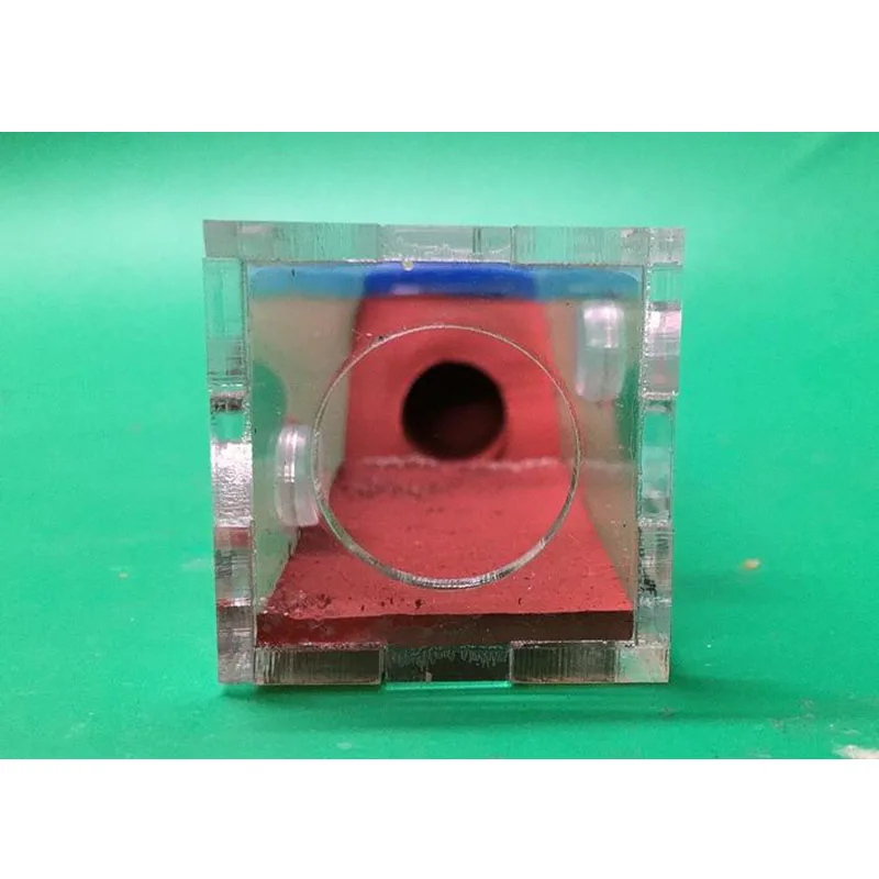 Собственная улитка дом Муравьиное гнездо акриловый муравей замок область