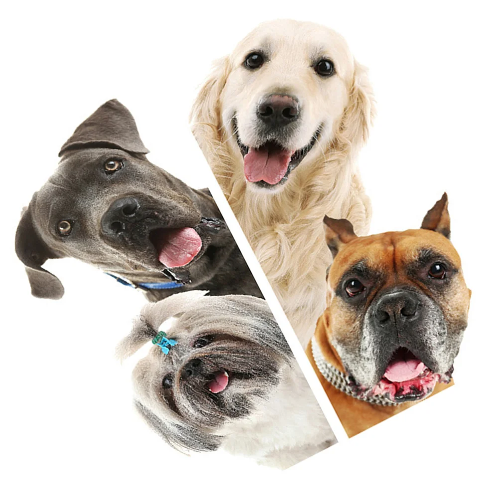 

Dog Wall Sticker DIY Animal Door Wall Stickers for Kid Room Bedroom (Assorted Color)