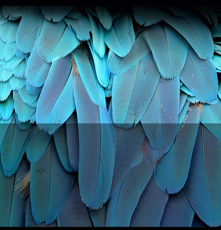 vr smart hd video giant screen mobile theater split head mounted display mobile phone expansion large screen glasses free global shipping