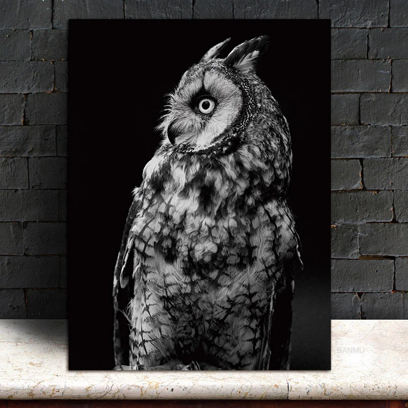 Настенные художественные картины животные Сова настенное искусство холст