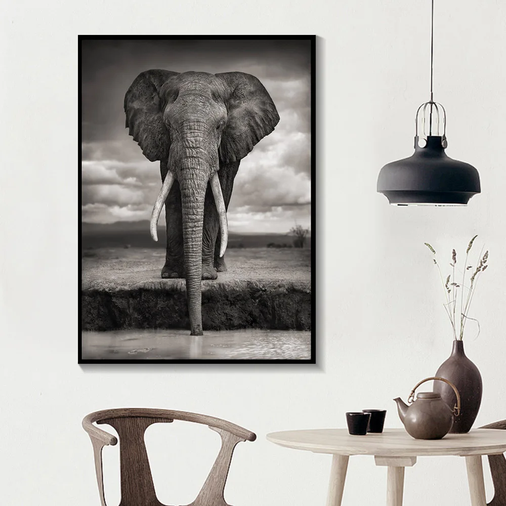 Современный скандинавский Африканский высокий слон черно белый животный