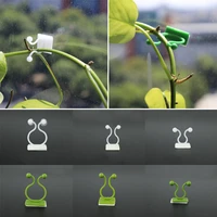 10pc20pc plant stent clamp clip rattan climbing fixed clip wall vine invisible supports bracket sticky hook