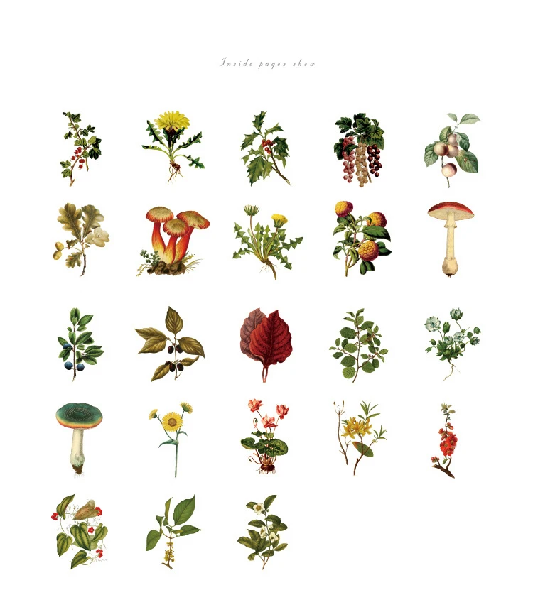 

46Pcs/Pack Retro Forest Plants Leaves Thank You Mini Stickers Ablum Diary Scrapbooking Label School Supplies Bullet Journal n953