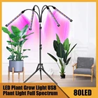 Светодиодсветильник фитолампа полного спектра с USB-разъемом, лампа для растений, саженцев, цветов, короб для выращивания растений