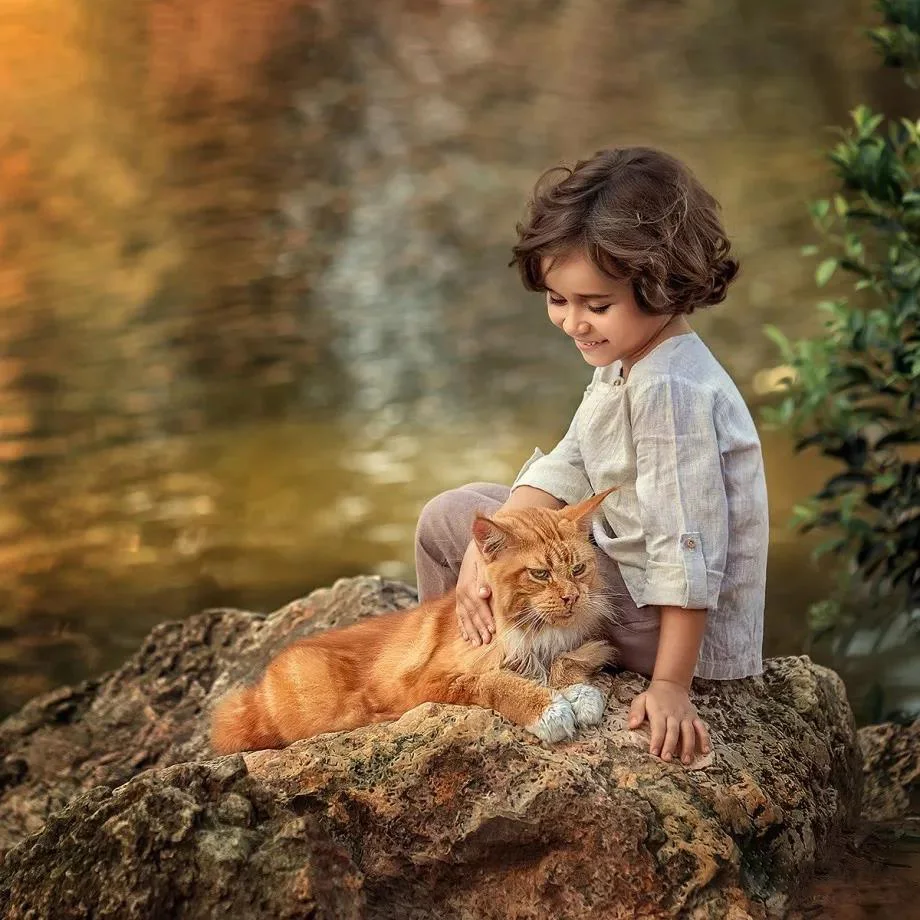 

Diamond Painting 5D Diamonds DIY Animal and Kids Cross Stitch Full Drill Embroidery Colorful Handmade Home Room Wall Decor
