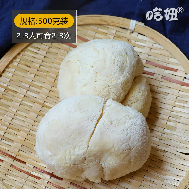 

The girl hericium nutrition fungus mushroom fresh edible fungus 500 g