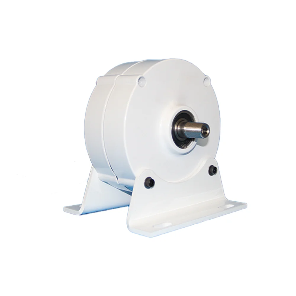 Китайский завод низкоскоростной генератор с постоянным магнитом 100 Вт 200 300 12 В/24 В