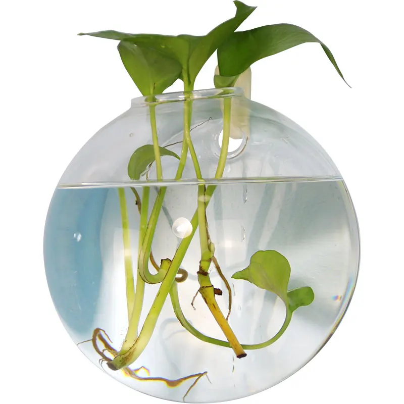 1 шт. настенная модная стеклянная ваза гидропоники Горшечное растение цветочный