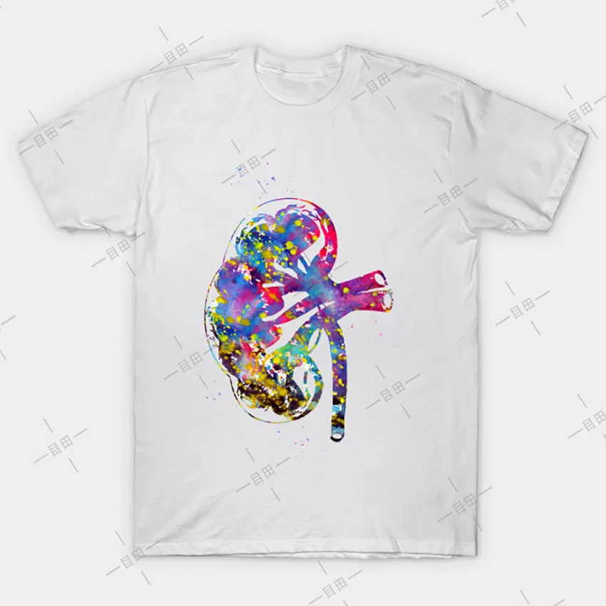 Футболка с изображением почек акварель урология наука | Мужская одежда