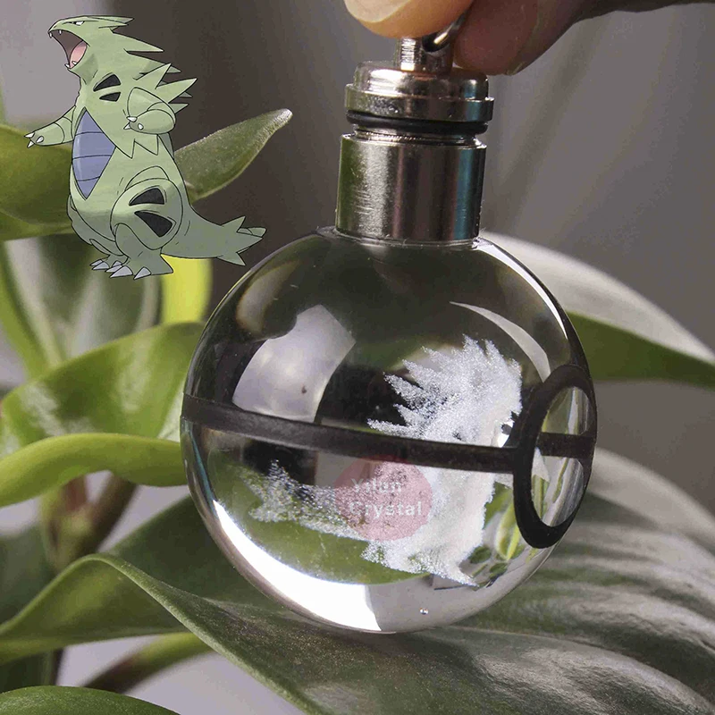 Buy Six One Free Arcanine New Shape Customized Image LED Crystal Keychain Ball For Gift | Дом и сад