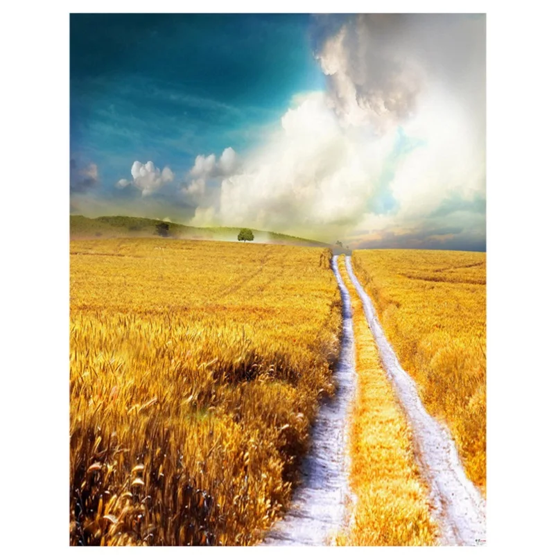 Виниловый фон Nitree для фотосъемки с изображением уличного Пейзажа студийной