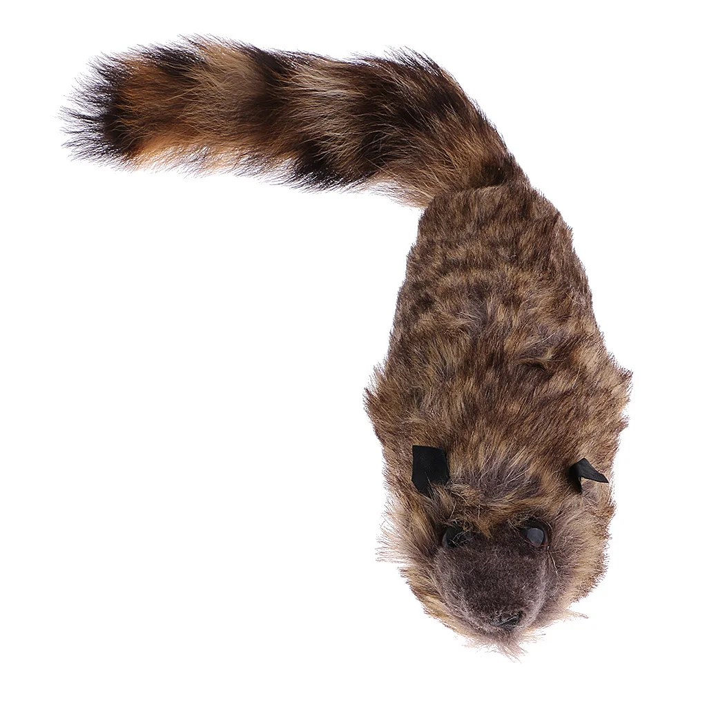 Забавный Робби енот Весна веселье сцена волшебное шоу трюк волшебные игрушки