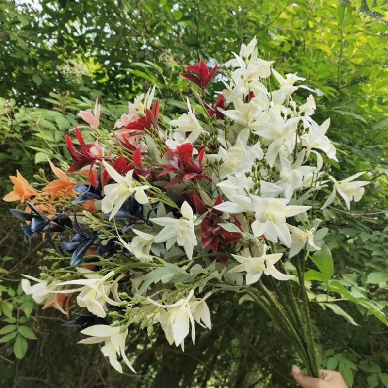 Искусственные длинные стебли Clivia (3 стебля/штука) длина 33 86 дюйма имитация
