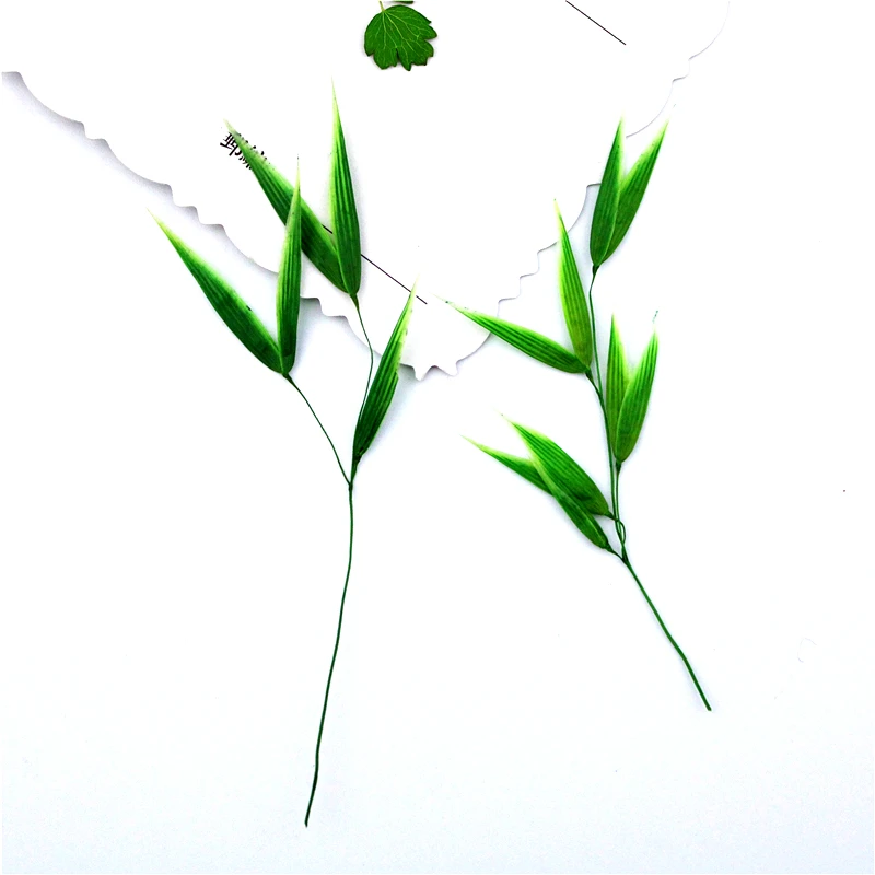 

5-8cm/100pcs,Pressed Dyed Green Bamboo Leaves,Eternelle Real Bamboo DIY Bookmark Gift Card,christmas candlestick decoration