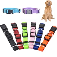 pet adjustable nylon dog collars puppy dogs cat neck collar solid color chihuahua puppy nylon collars