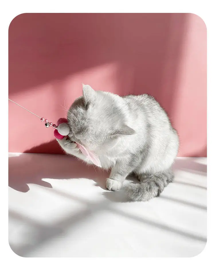 

Игрушка для кошек, волшебная палочка для кошек с колокольчиком, жесткий аксессуар для кошек, трость для кошек, игрушка для котят, товары для ...