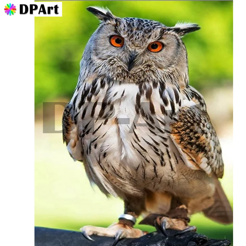 

Diamond Painting 5D Full Square/Round Drill Owl Daimond Rhinestone Embroidery Painting Cross Stitch Mosaic Picture Art M1585