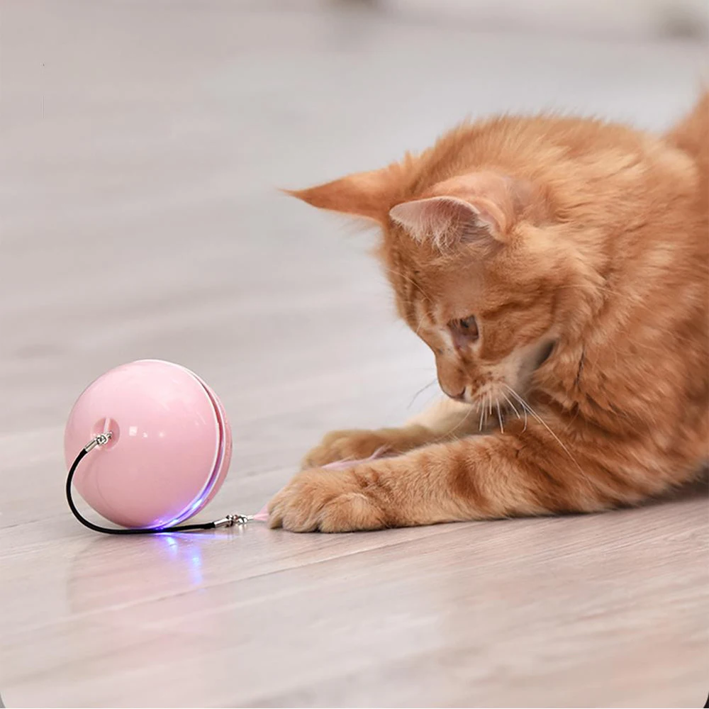 

Умная игрушка для кошек, интерактивный роликовый шар со светодиодный Ной подсветкой и Кошачьей Мятой, с пером, с USB зарядкой, игрушка для кош...