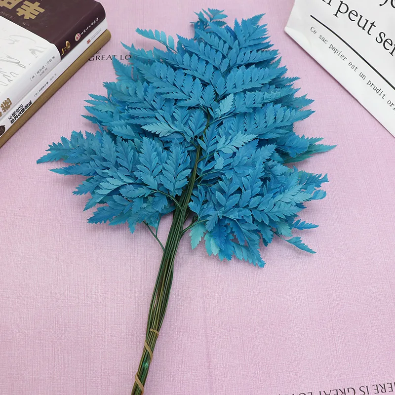

10pcs/Lot Natural Real Soft Touch Plant Fiddlehead Ferns Eternal Immortal Preserved Arachniodes Leaves For Party Home House Deco