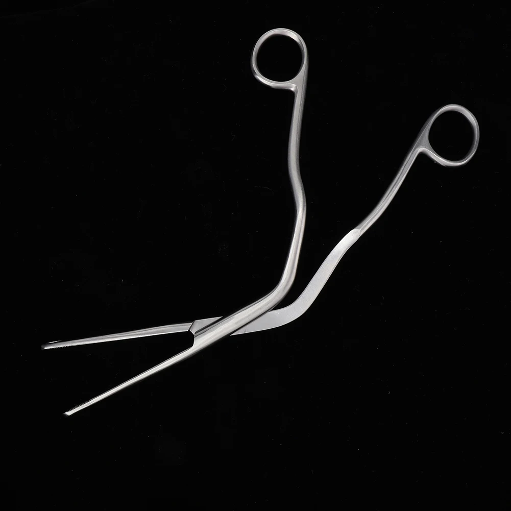 

Adult Stainless Steel High Hardness Alligators Forceps ENT Surgical Tool Medical Independent Aseptic Packaging Hygienic 25cm