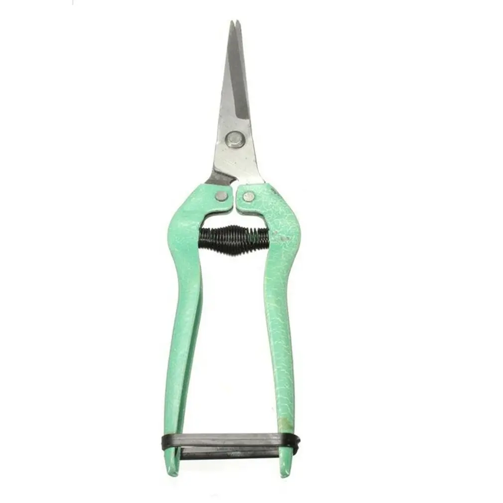 

19.5cm Straight leaf fruit flower leaf trimmer Garden Plant horticulture Scissors secateurs Shear pruning cut Shrub Orchard tool