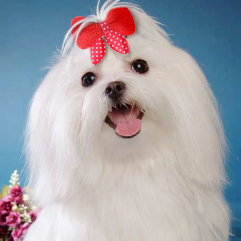 Банты для домашних животных 10 шт./лот в ассортименте милые головные уборы