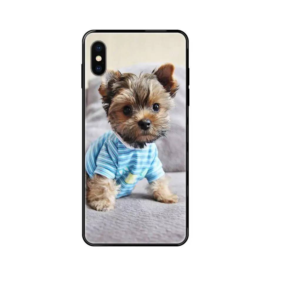 Милые маленькие чайные чашки Yorkie Dogs лидер продаж модные для Redmi 3S 4X 4A 5 5A 6 6A 7 7A 8 8A 8T 9