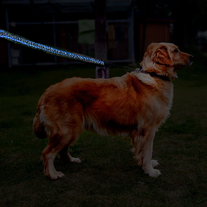 Hipidog дропшиппинг прочный Светоотражающий Поводок для собак и ошейник больших