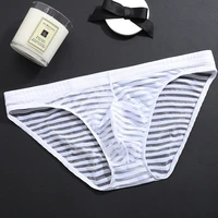 ice silk mens briefs bulge transparent panties sexy men underwear plus size intimates mesh summer thin lxlxxl3xl bikini