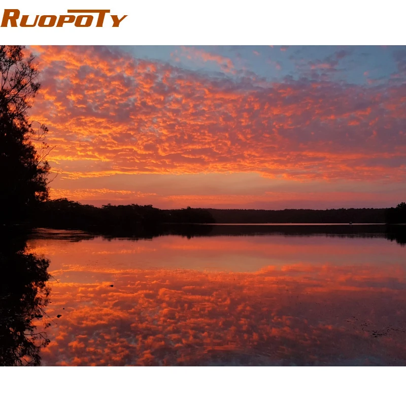 Ruopoty рамка Лебедь животные DIY картина по номерам Настенная картина акриловая холст картина для свадебного украшения Прямая