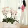 Изображение товара 3