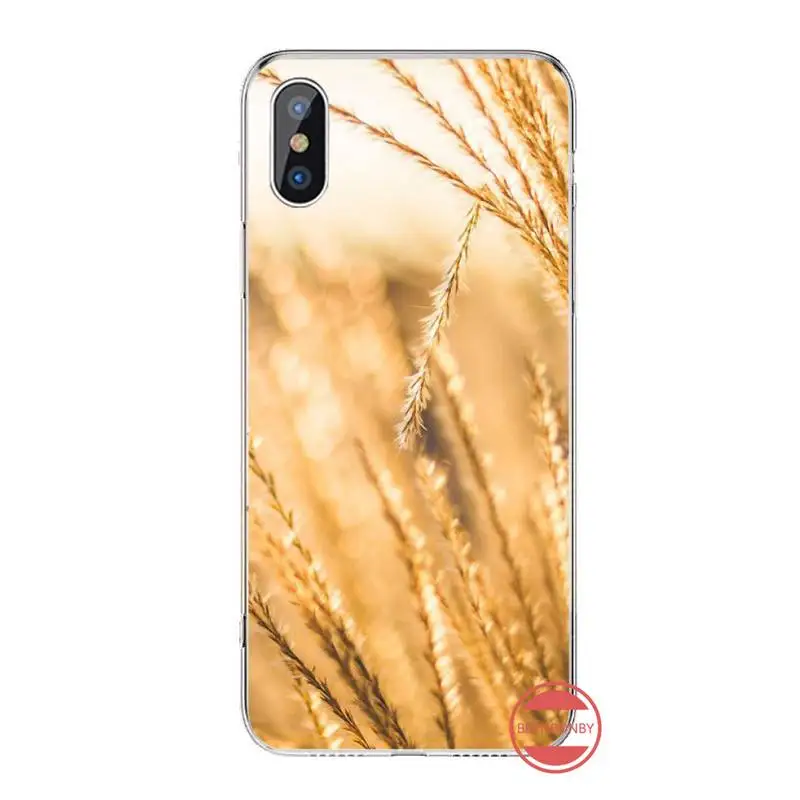 

Raw material for bread wheat fashion Phone Case For iphone 12 5 5s 5c se 6 6s 7 8 plus x xs xr 11 pro max