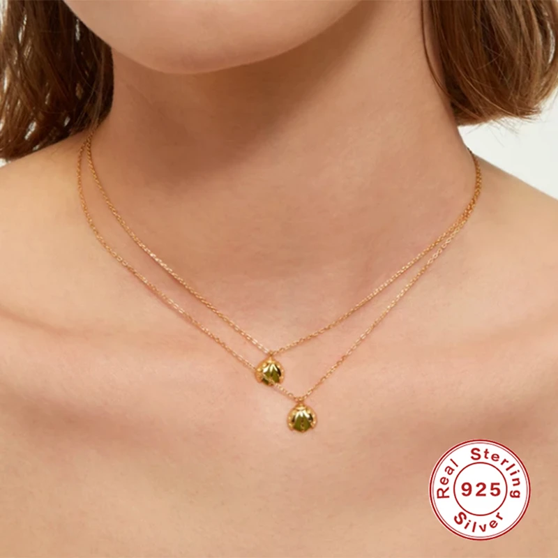 

AIDE 925 Sterling Silver Necklaces For Women Summer Necklace 2021 Insect Clavicle Chain Jewelry on the Neck Pendiente Collares