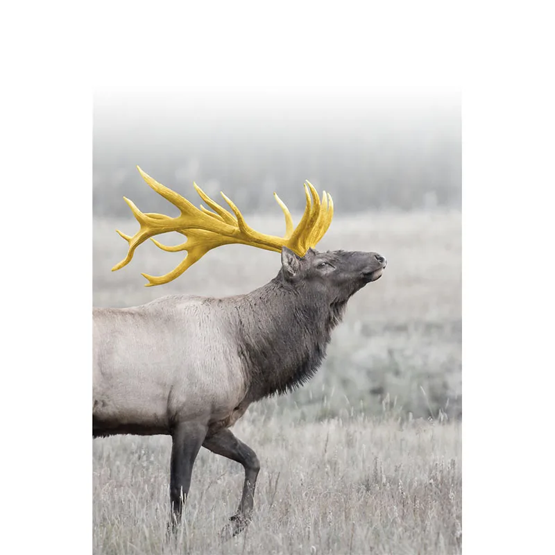 

Cross-border Nordic Geometric Abstract Golden Elk Forest Simple Modern Living Room Combination Decorative Painting Picture