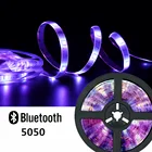 Светодиодные ленты огни 5, 10 м, 15 м, 20 м SMD 5050 NoWaterproof Bluetooth ТВ фон стены украшения освещение Диодная лента 12V Цвет Neon
