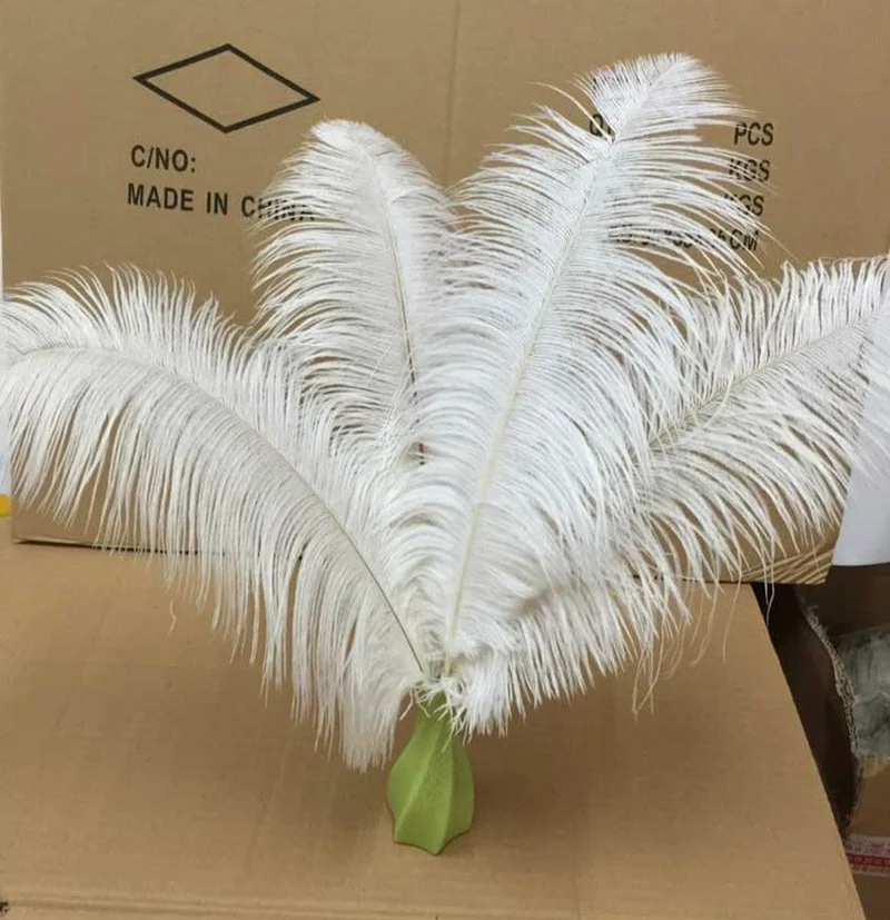 Оптовая продажа элегантные белые страусиные перья 15-75 см для рукоделия товары