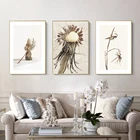 Картина на холсте кокеткинс, сушеные цветы, современный минимализм, образец растения