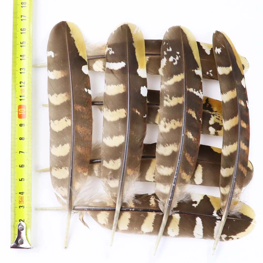 

50 pcs Wholesale Natural pheasant feathers6-8Inch 10-15cm) For Hat Jewelry Decor DIY Wedding Home Decoration Plumes Crafts